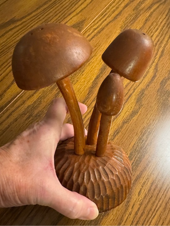 Other - Wood Mushroom Toothpick Holder Server
